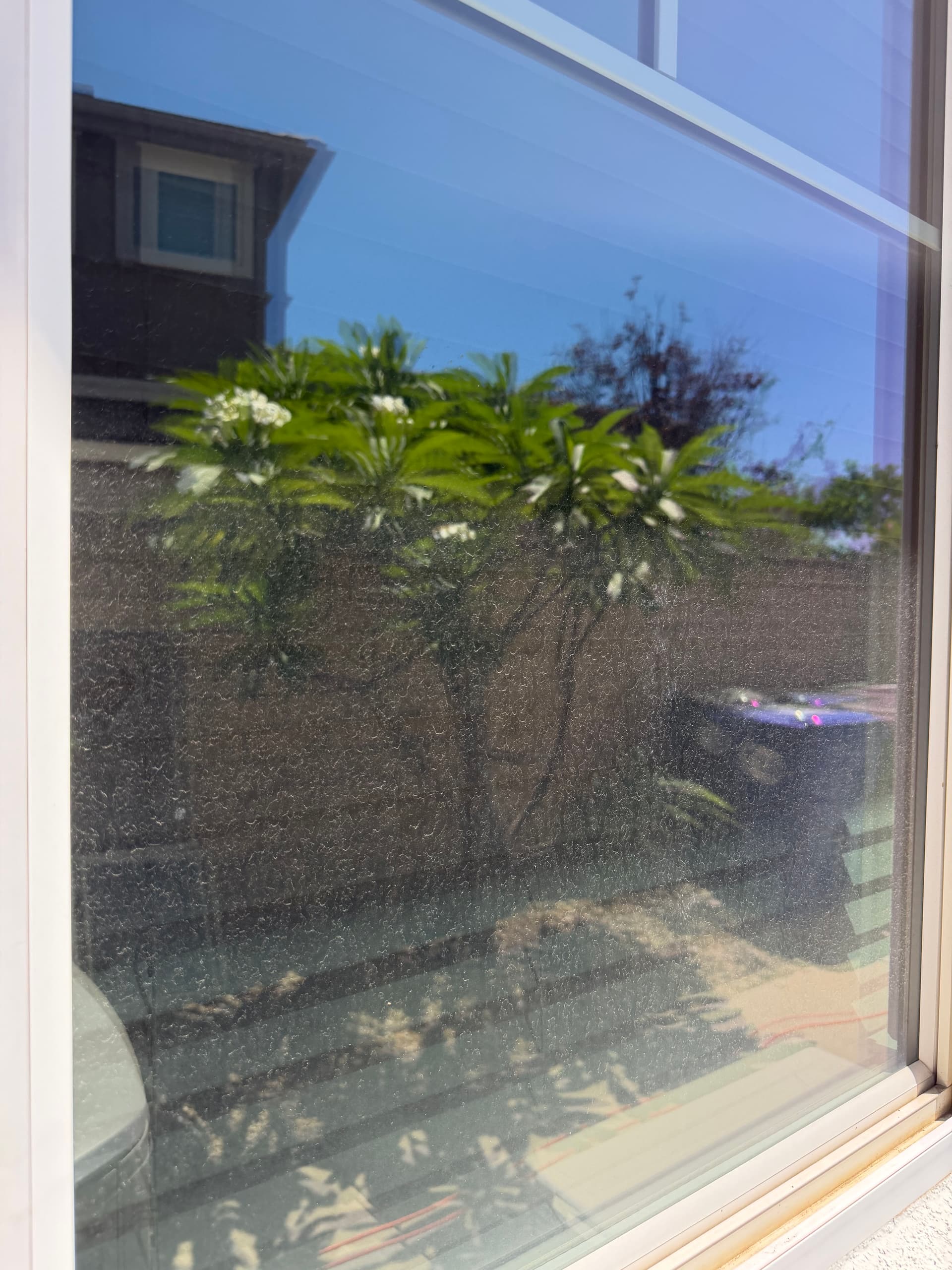 Gallery photos for 100 Panes of Crystal Clear Glass on a North Fontana Home: Image #7