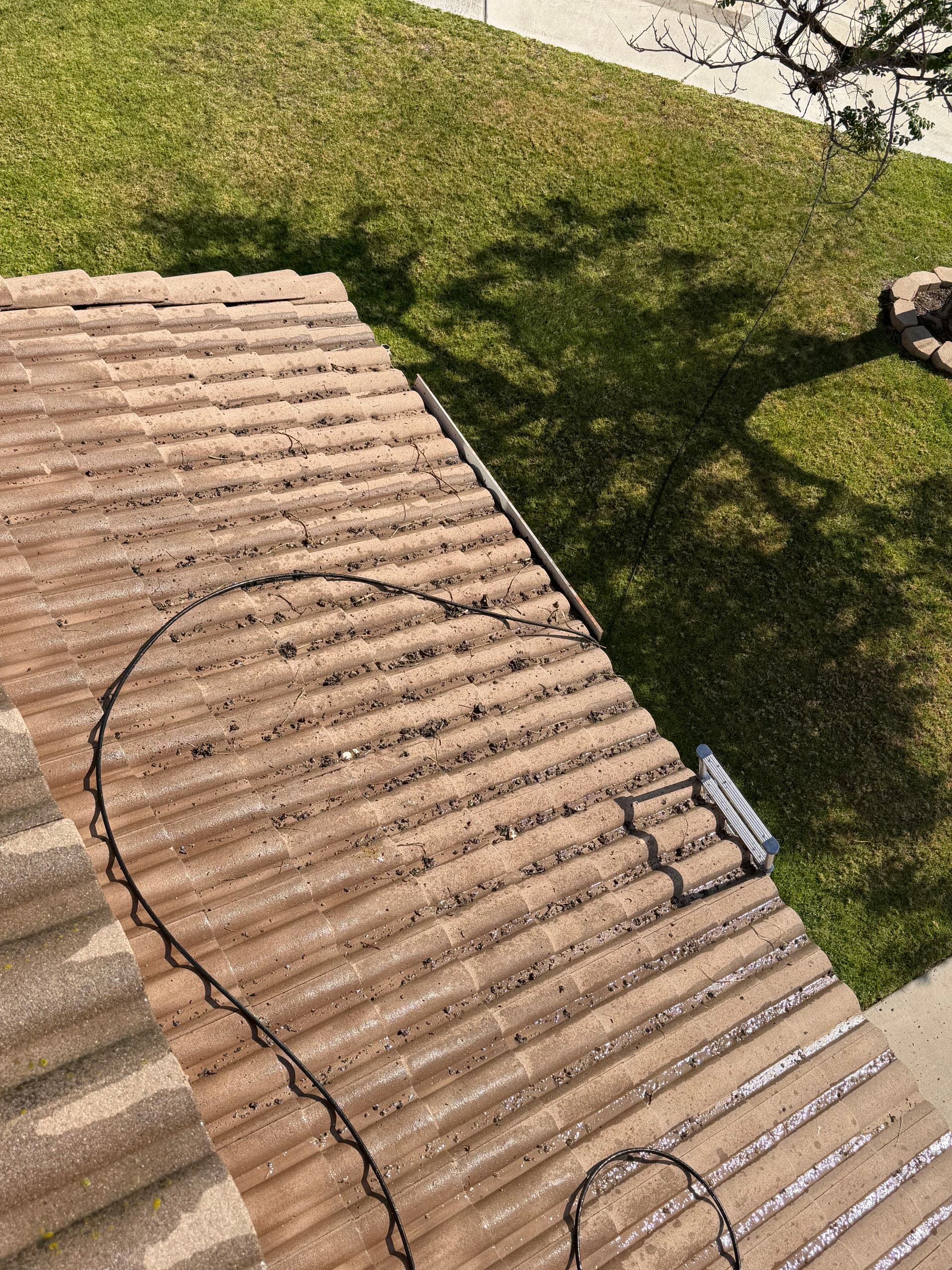 Gallery photos for What's Really Living Under Your Solar Panels: Image #6