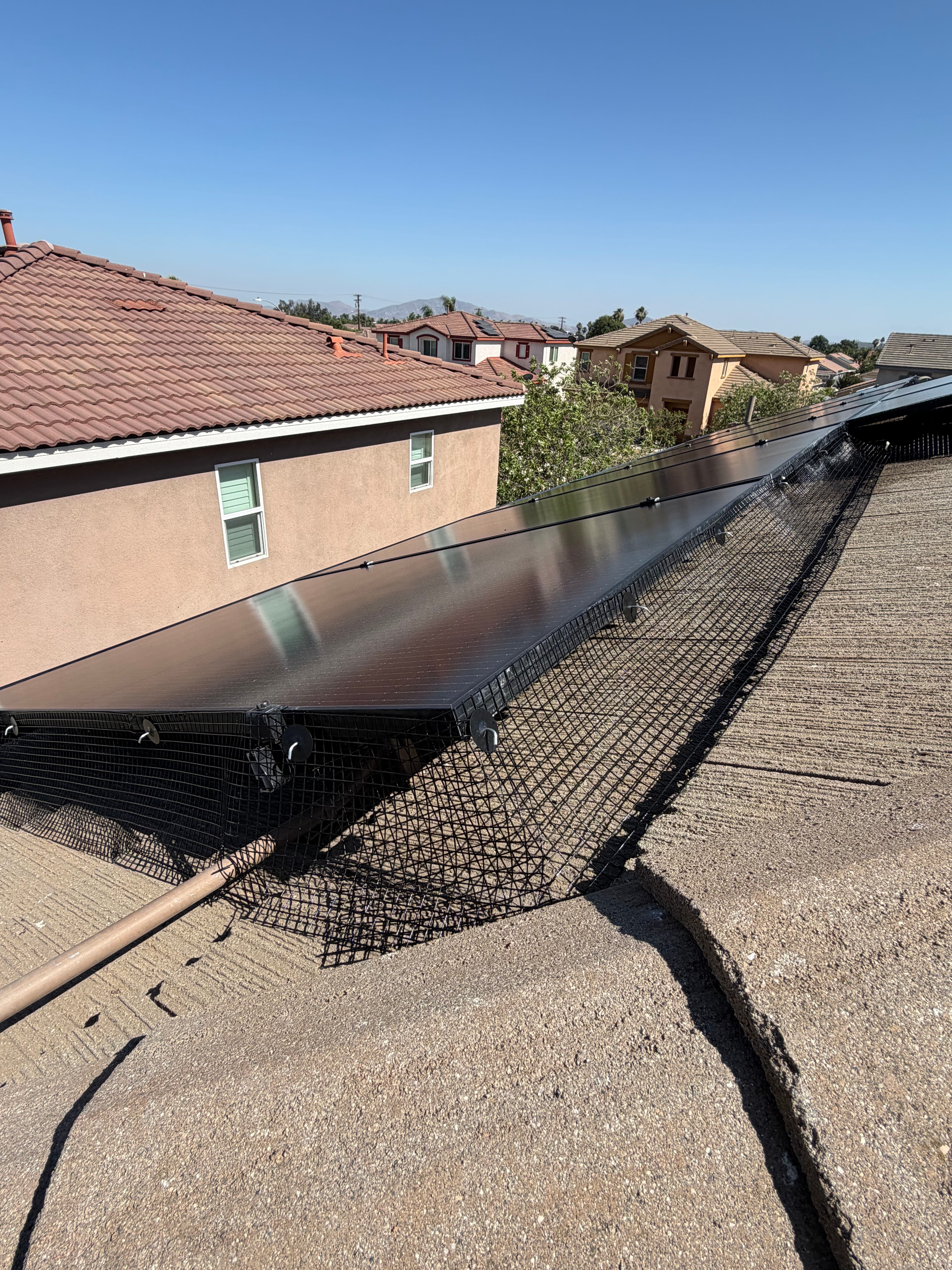 Project Solar Panel Bird Proofing and Cleaning Done Right in Fontana image