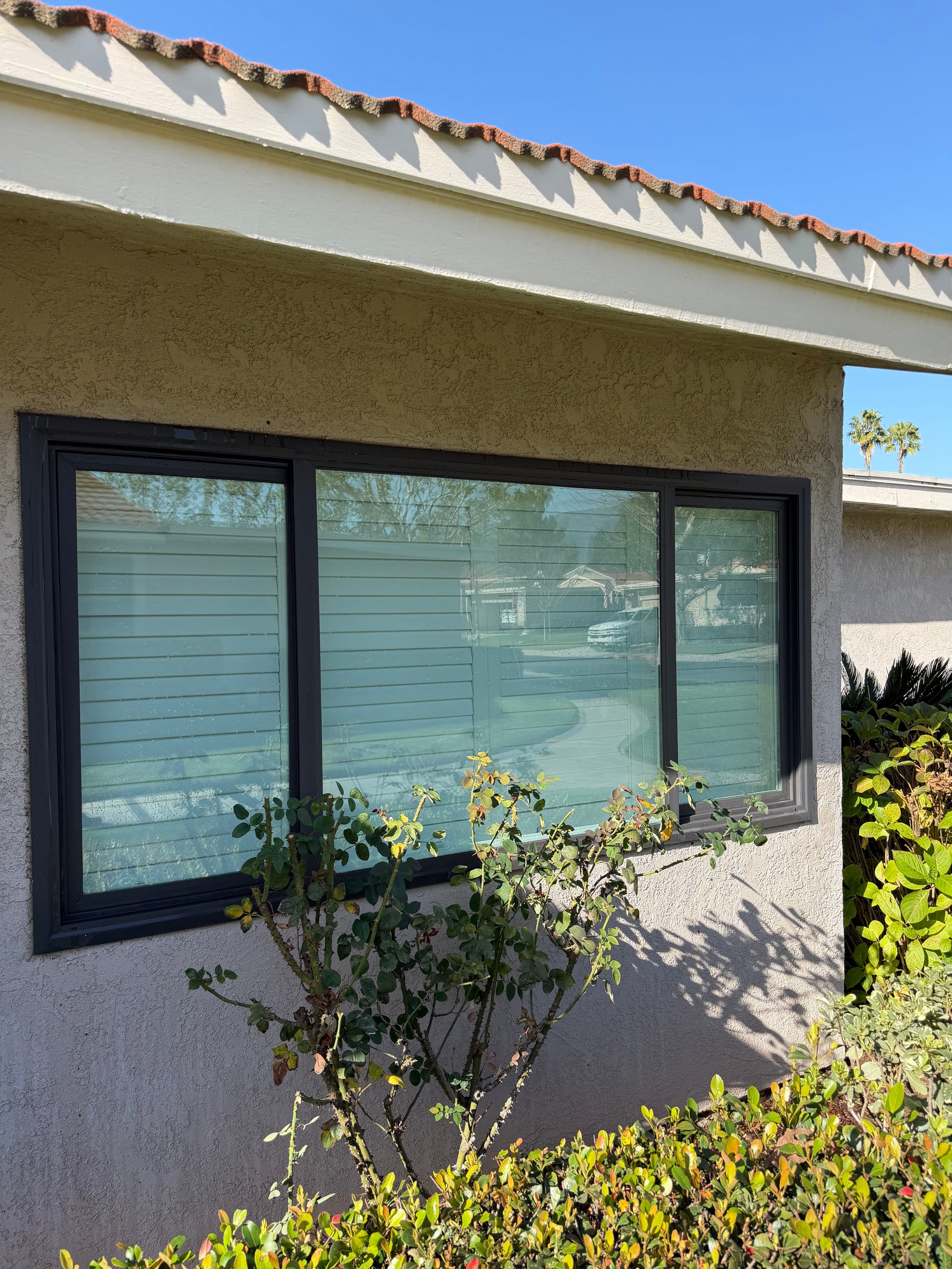Gallery photos for Exterior Window Cleaning Done Right in Upland: Image #6