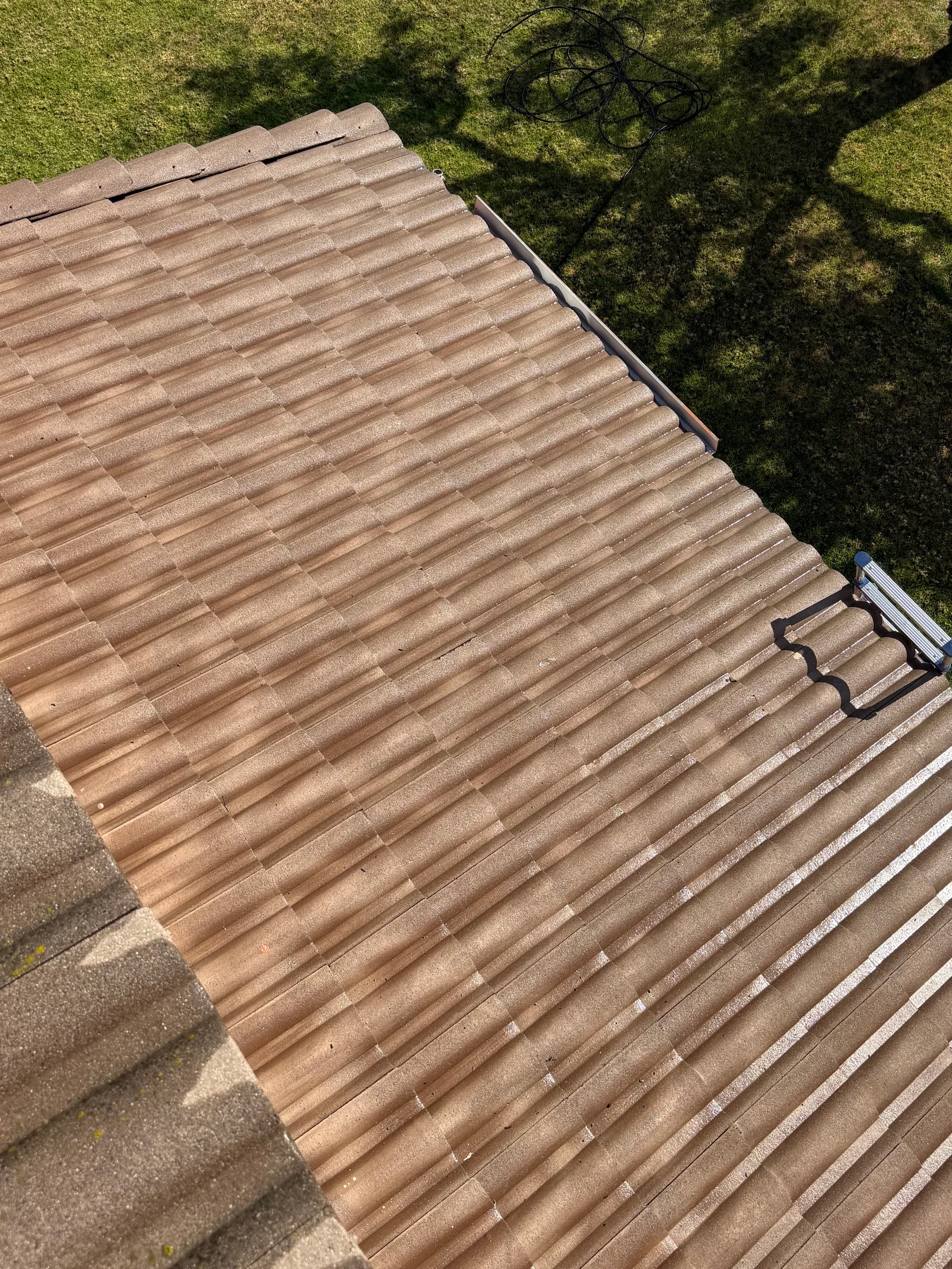 Gallery photos for What's Really Living Under Your Solar Panels: Image #7