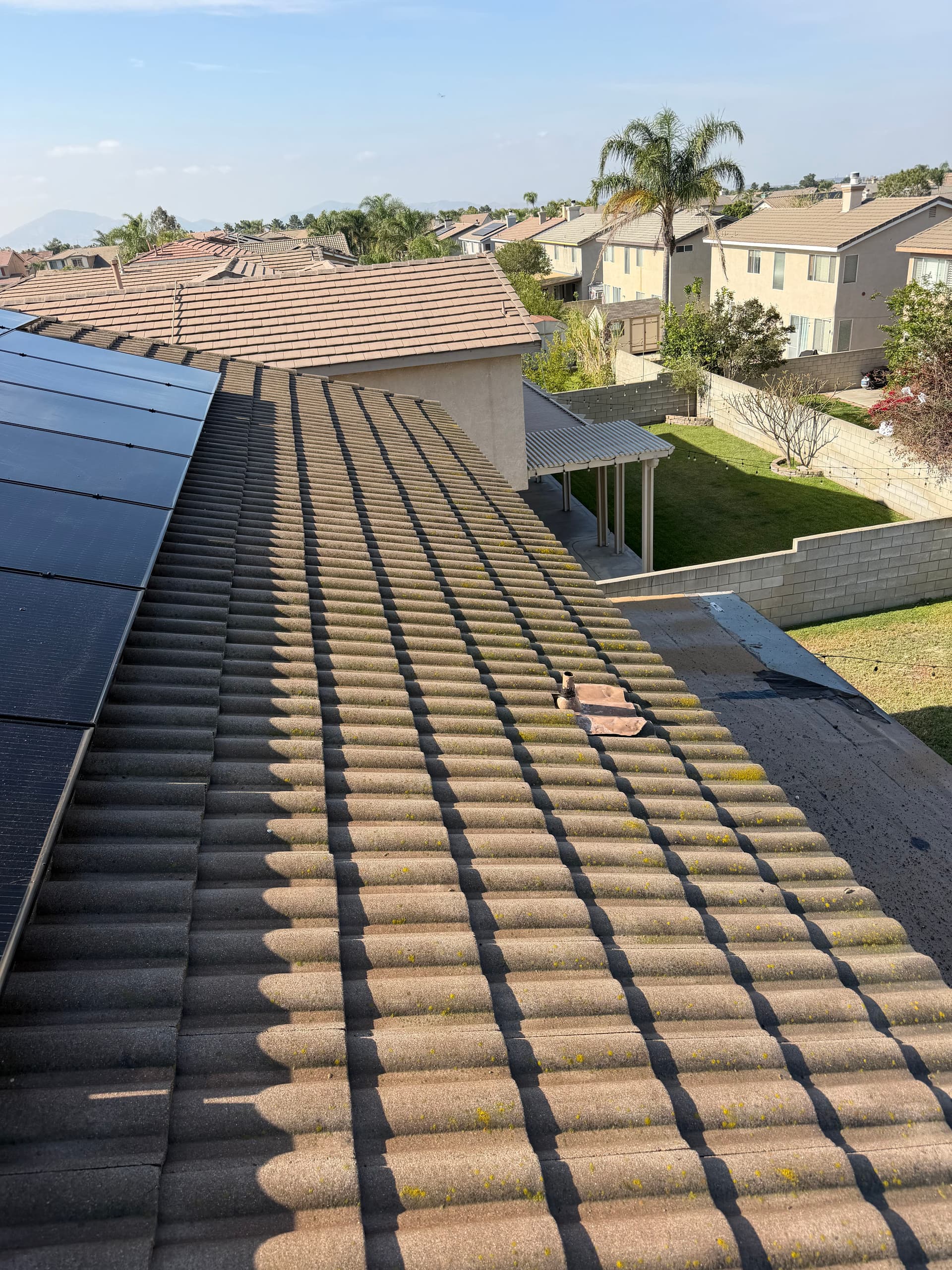 Gallery photos for What's Really Living Under Your Solar Panels: Image #3