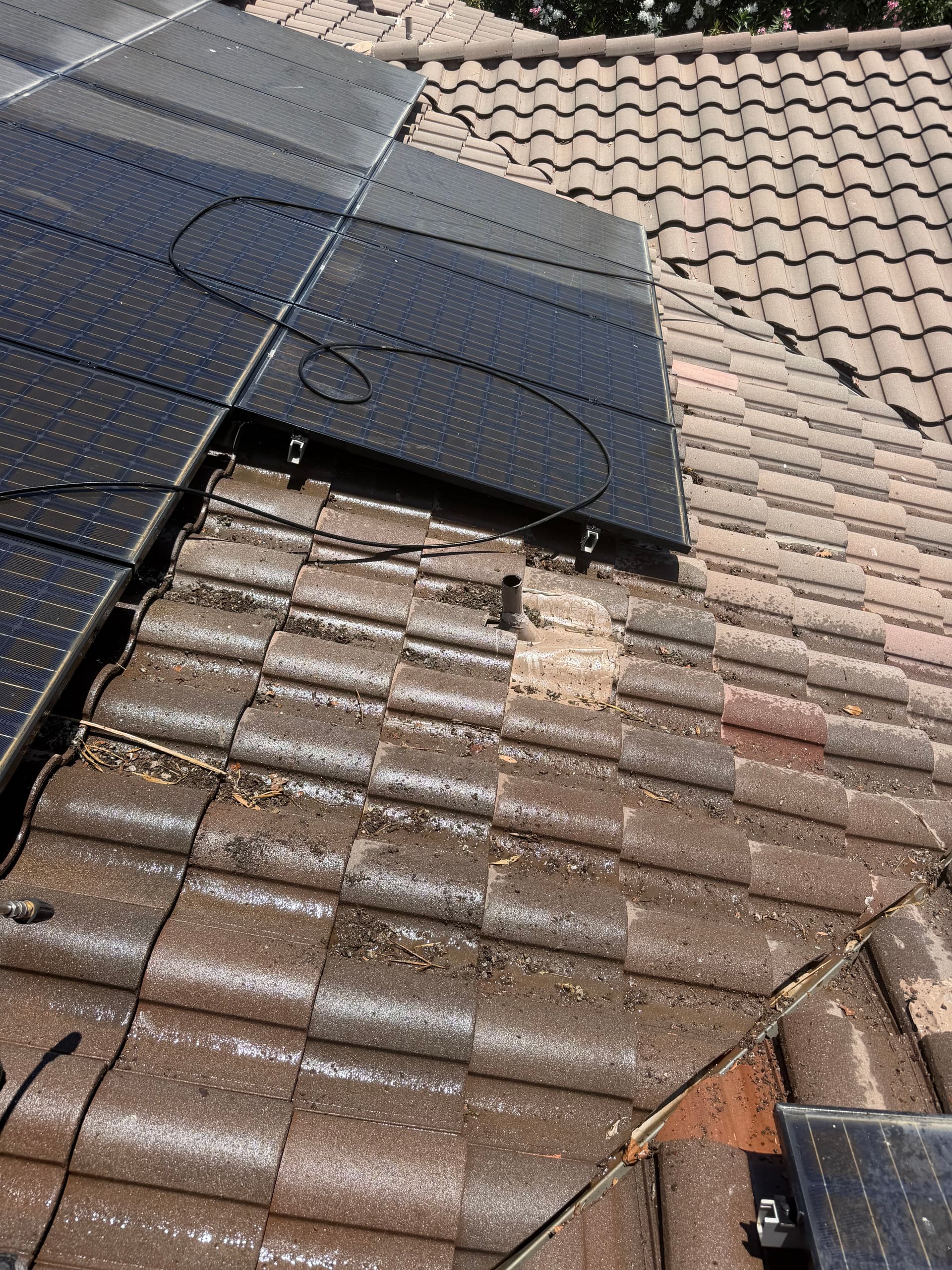 Gallery photos for Solar Panel Cleaning and Bird Dropping Removal in Menifee: Image #2