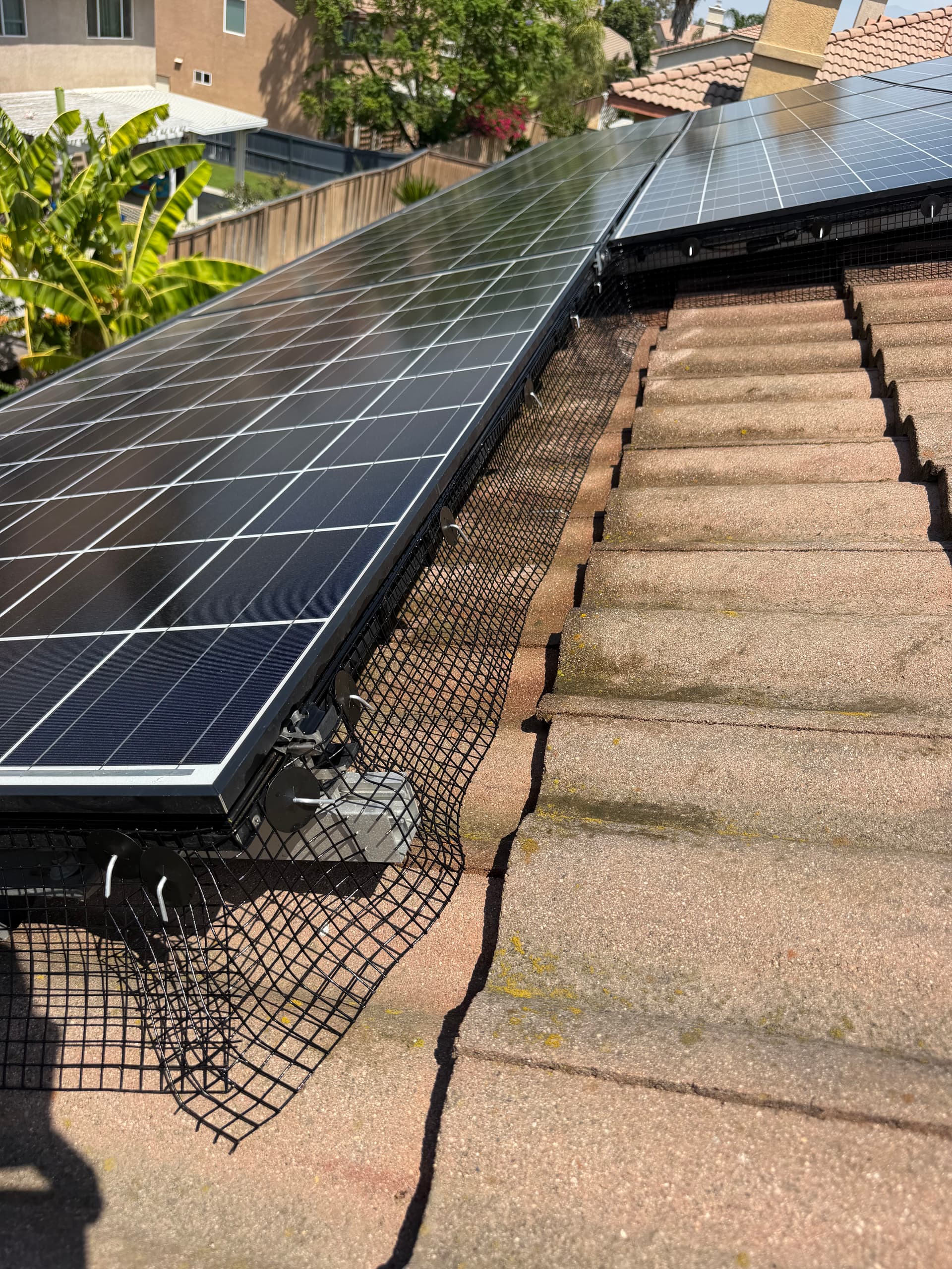 Solar Panel Cleaning and Bird Proofing Done Right in Eastvale image