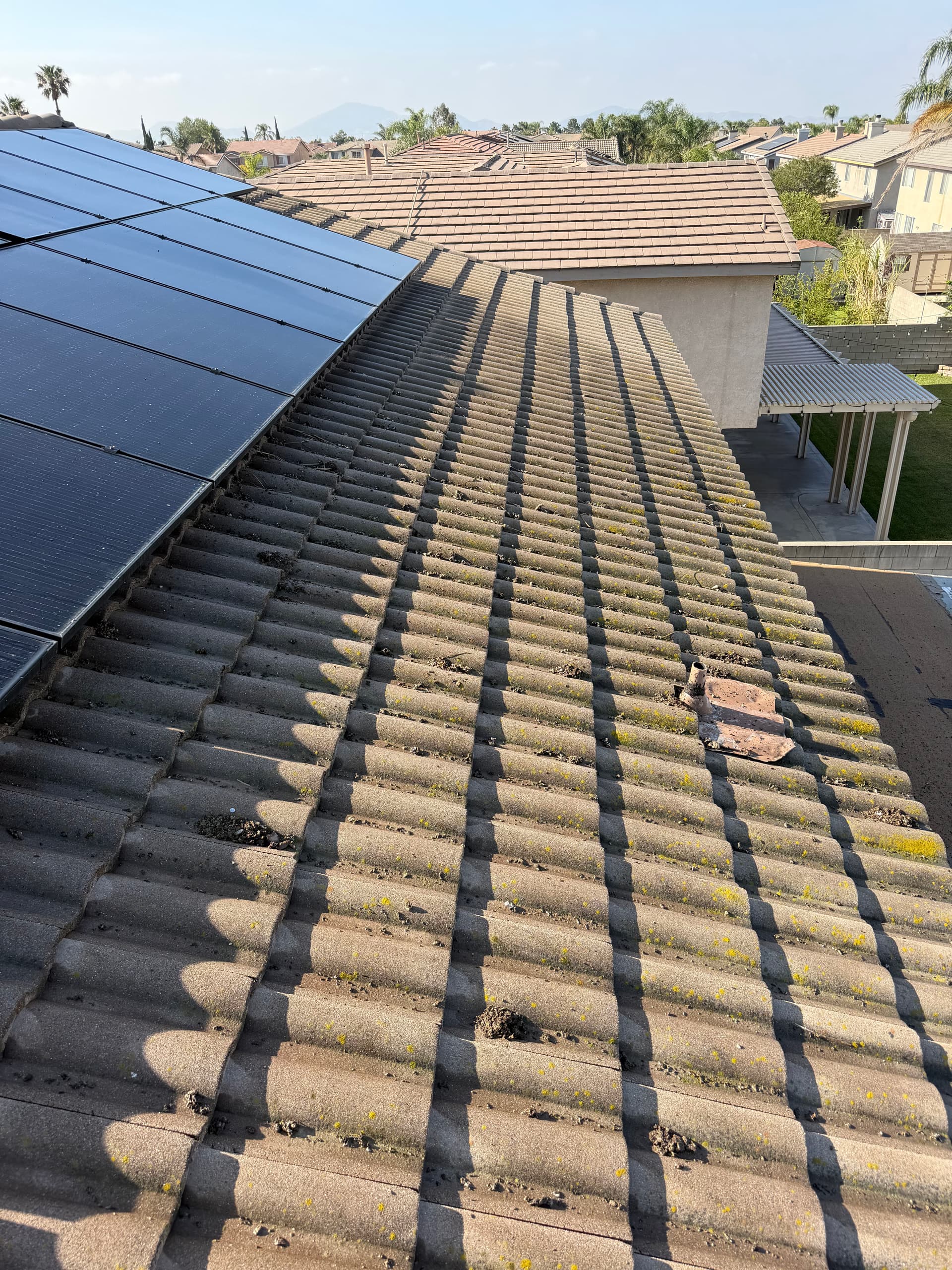 Gallery photos for What's Really Living Under Your Solar Panels: Image #2