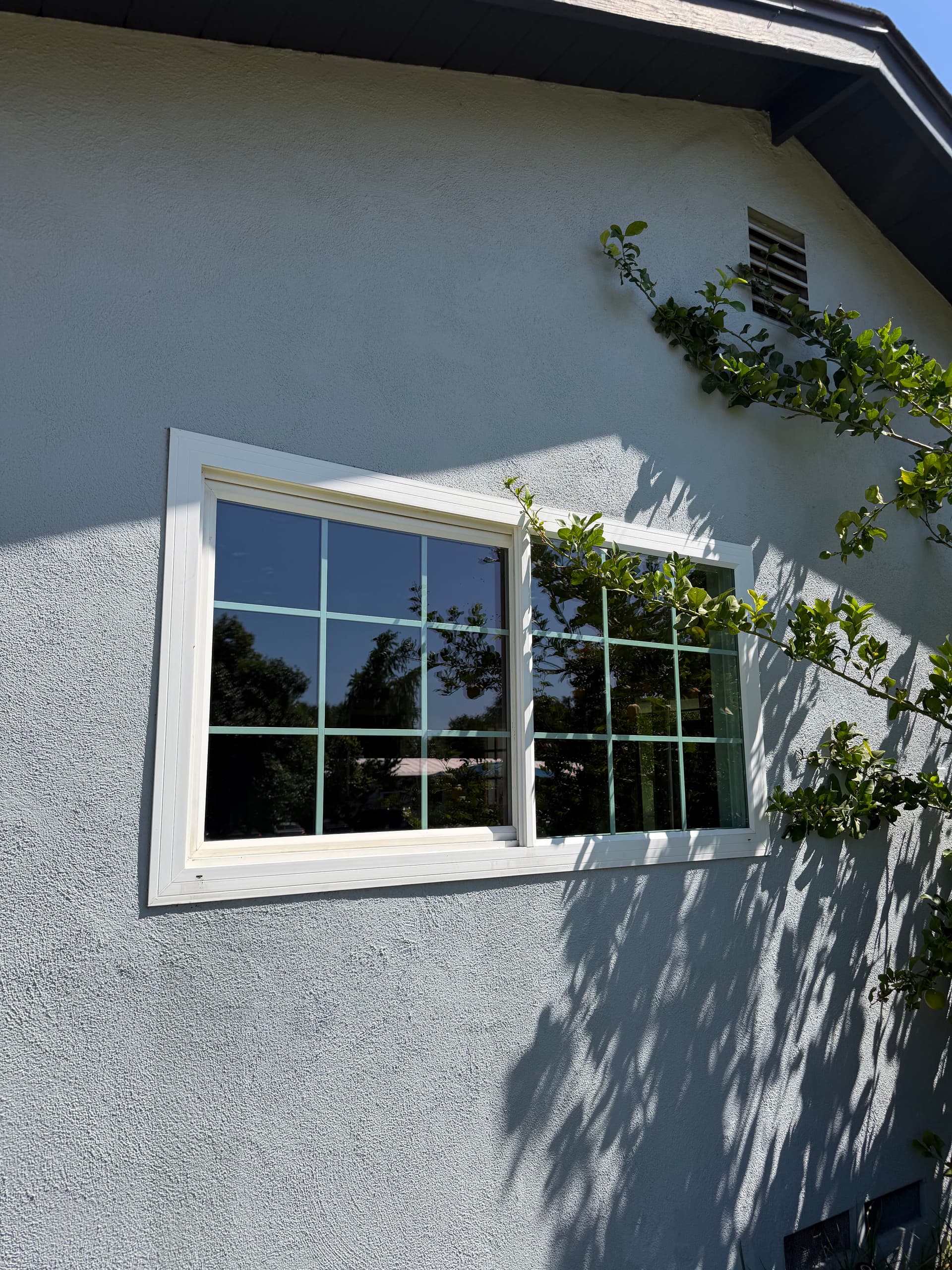 Gallery photos for Solar Panel and Window Cleaning in Claremont: Image #6