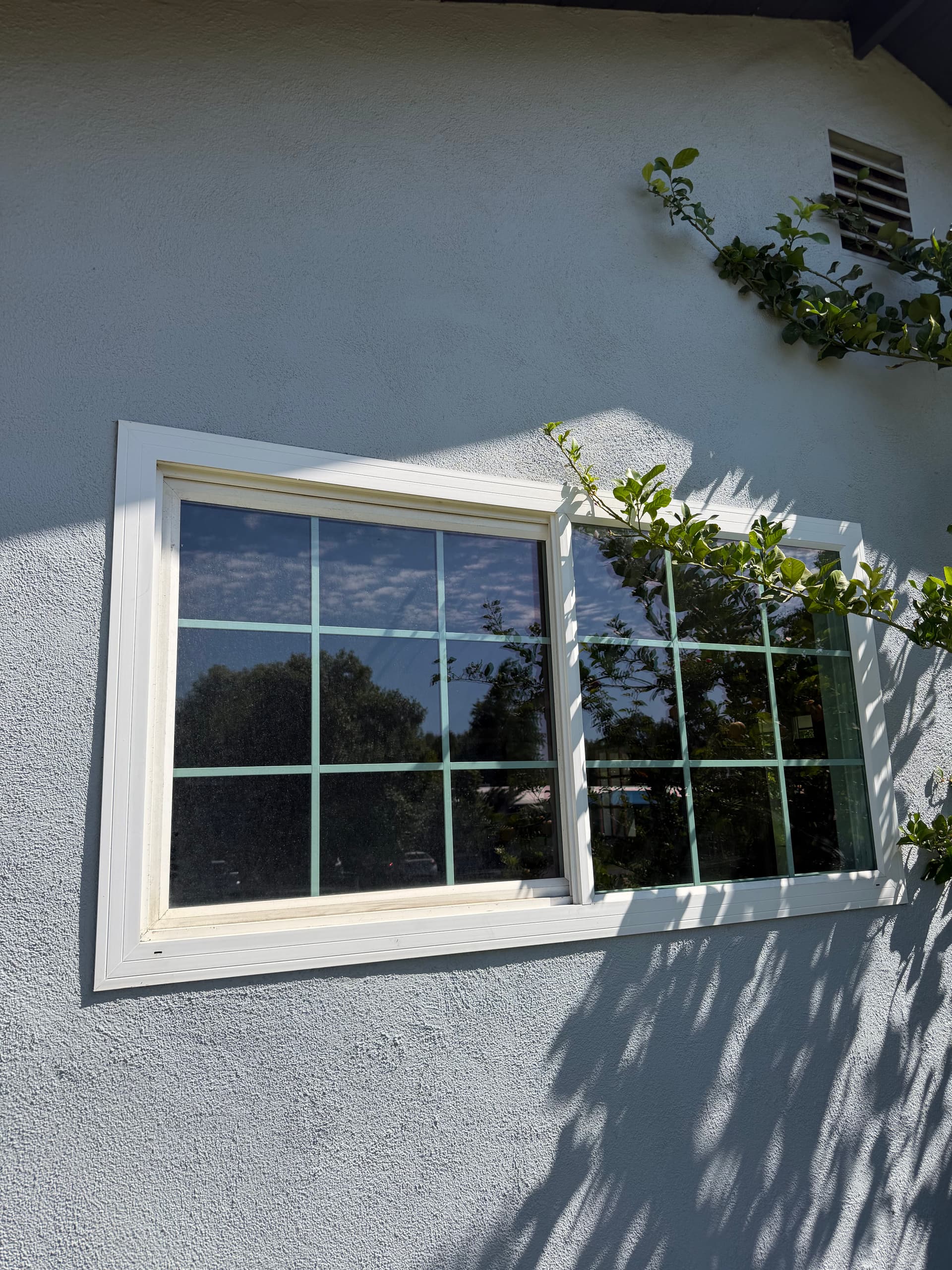 Gallery photos for Solar Panel and Window Cleaning in Claremont: Image #5