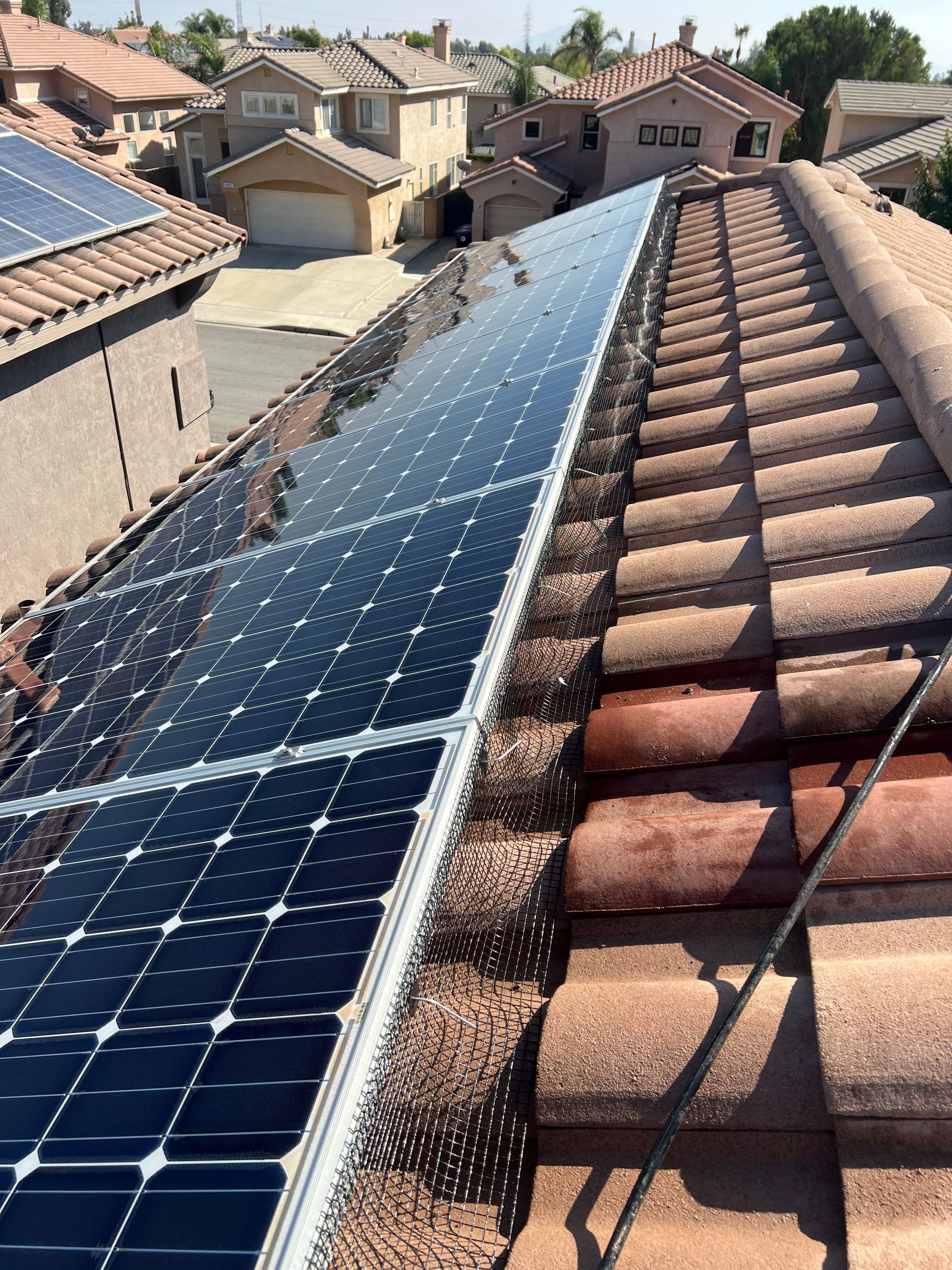 Solar Panel Bird Proofing Done Right in North Fontana image