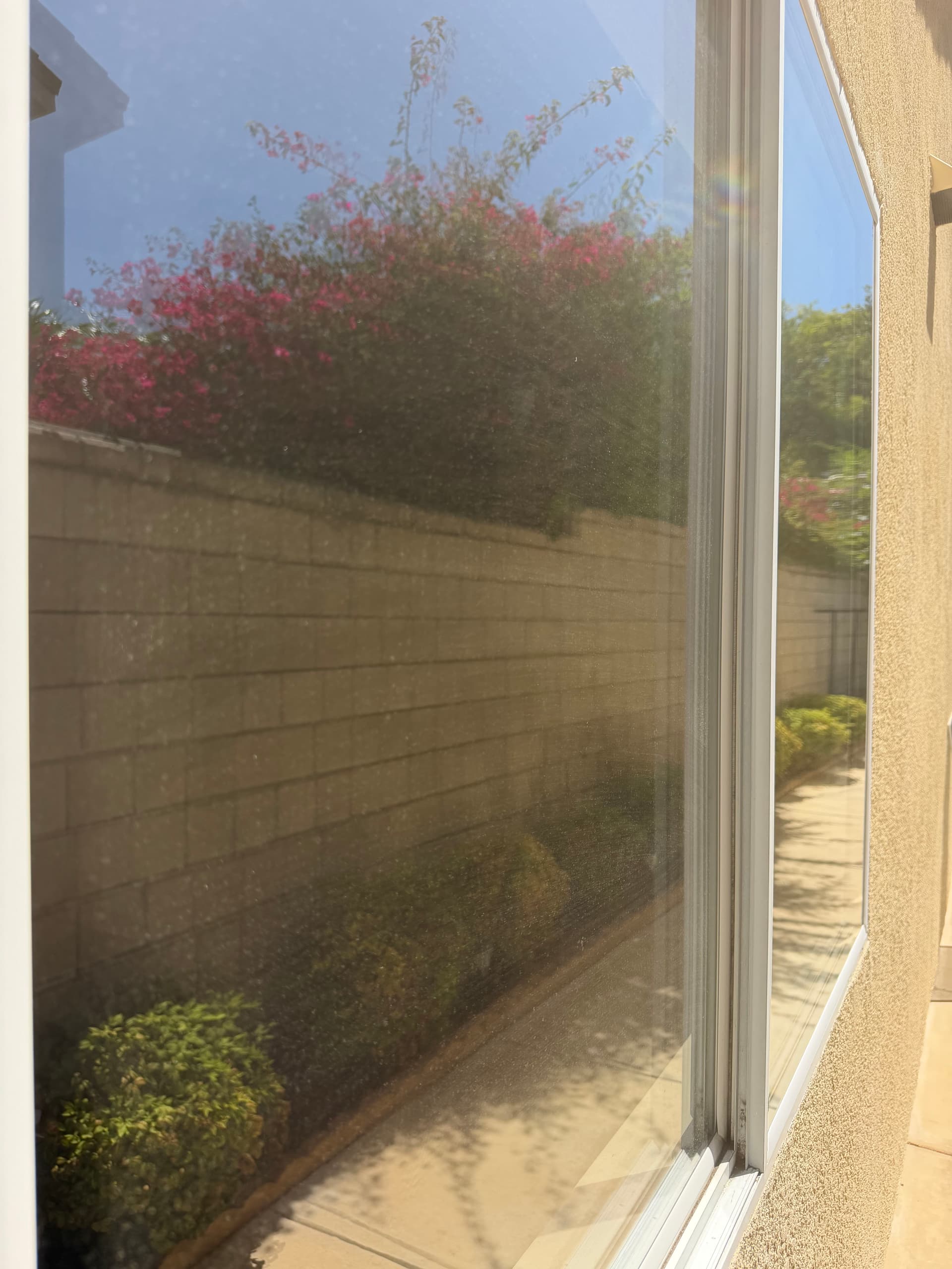 Gallery photos for Solar Panel and Window Cleaning Done Right in South Corona: Image #5