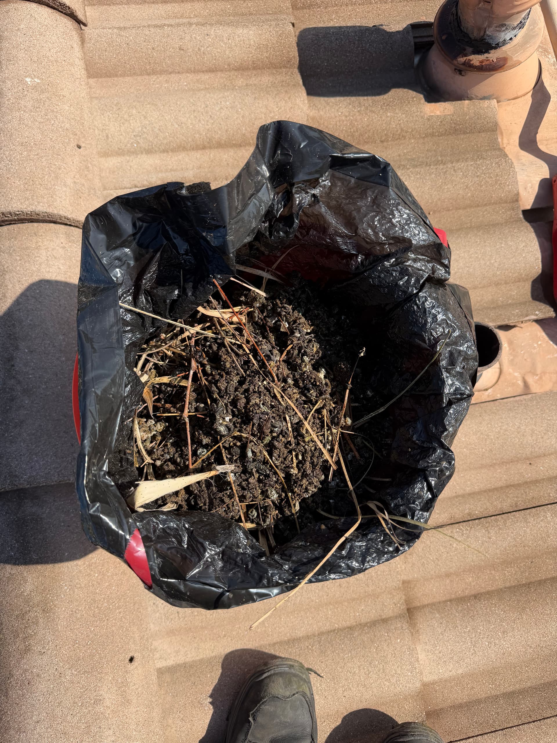 Gallery photos for What's Really Living Under Your Solar Panels: Image #1