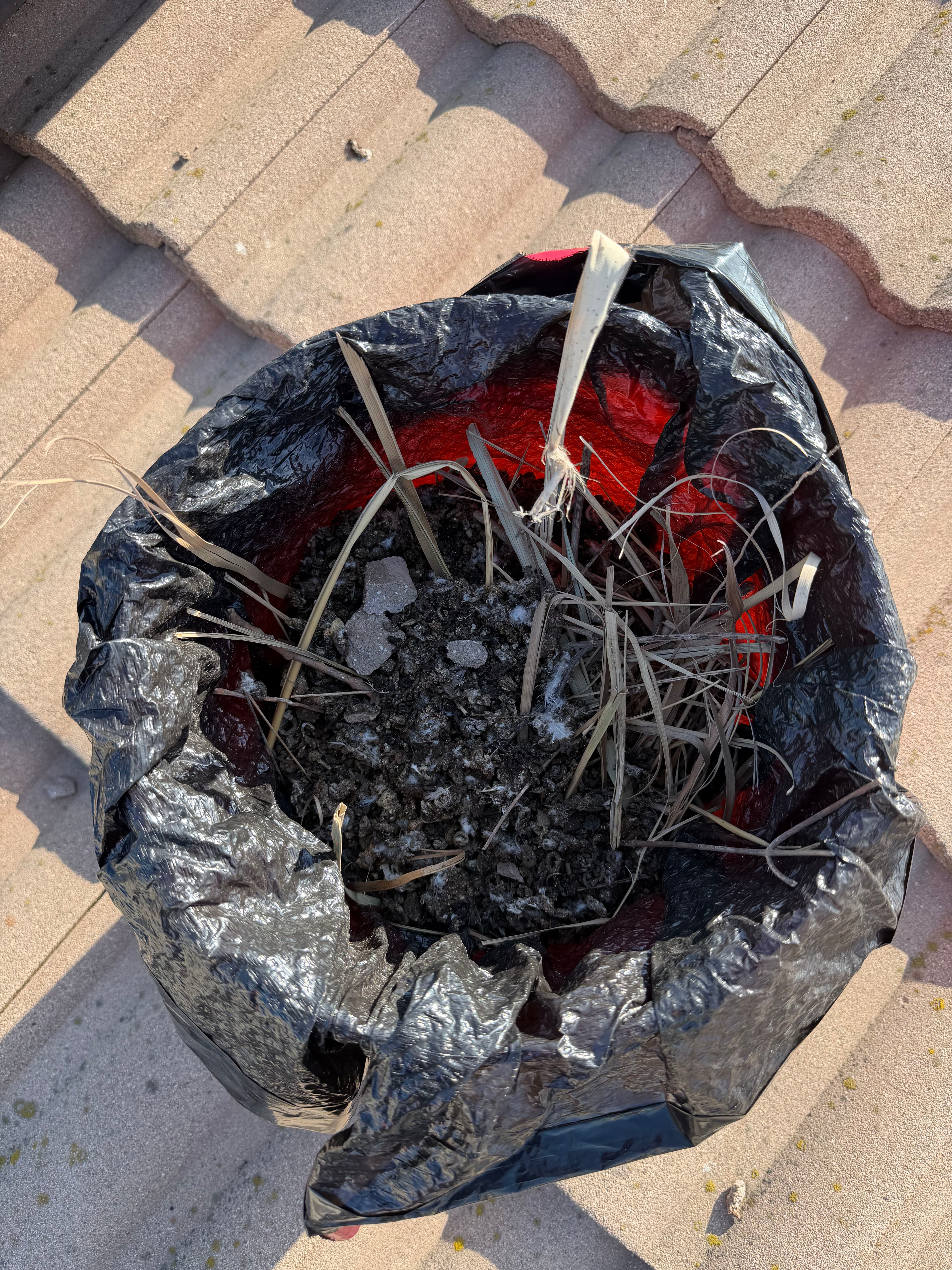 Project What's Really Living Under Your Solar Panels image
