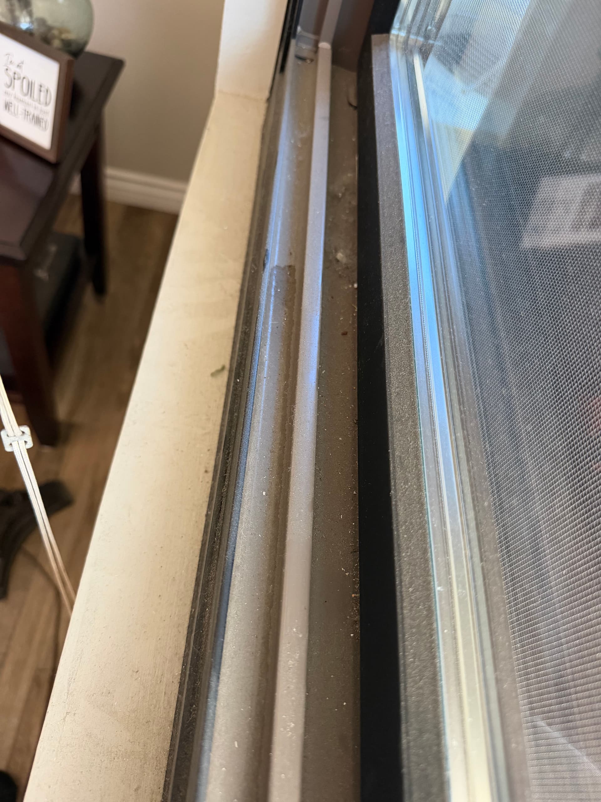 Gallery photos for Interior Window Cleaning and Track Detailing Done Right: Image #2