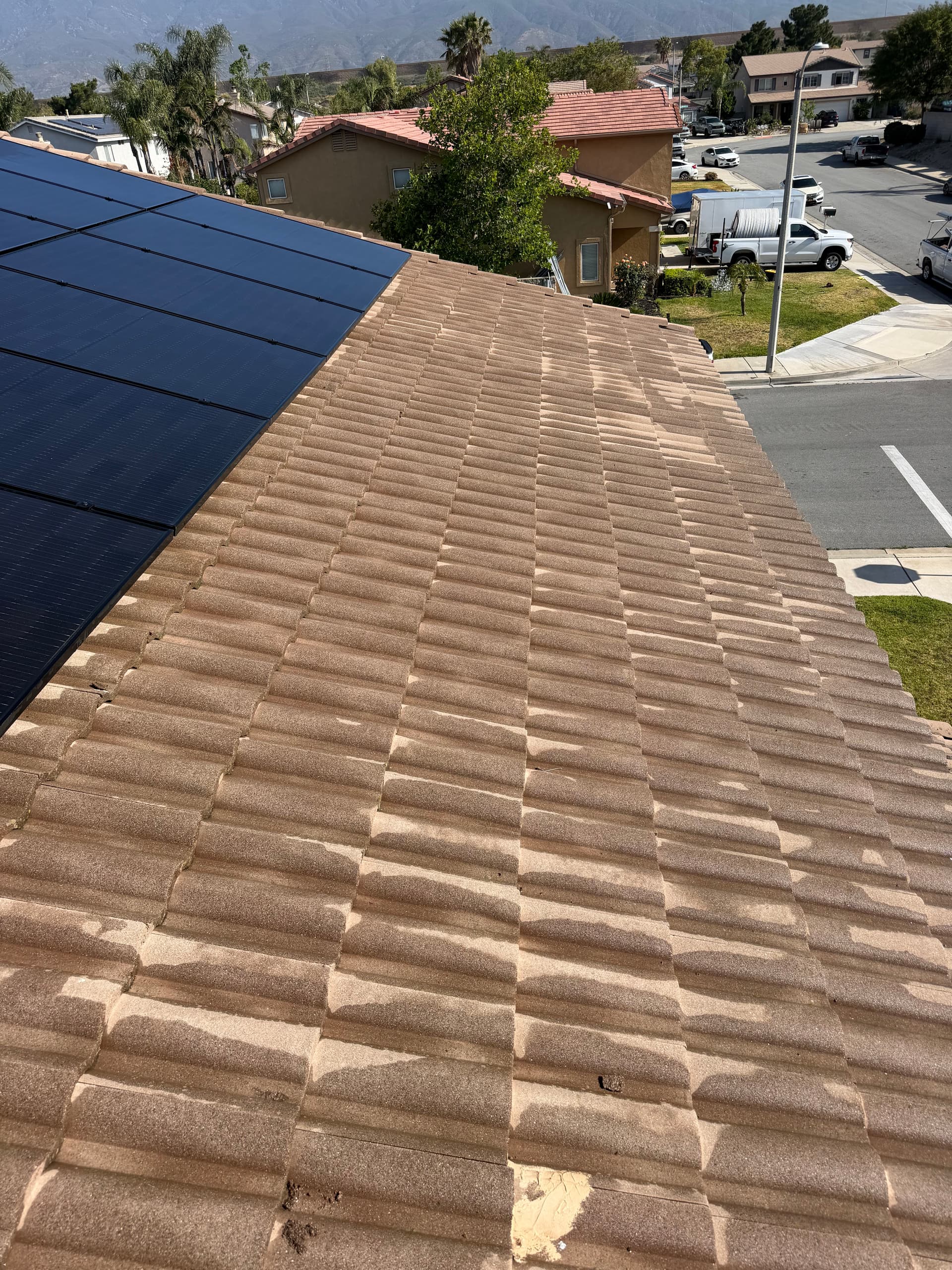 Gallery photos for What's Really Living Under Your Solar Panels: Image #5