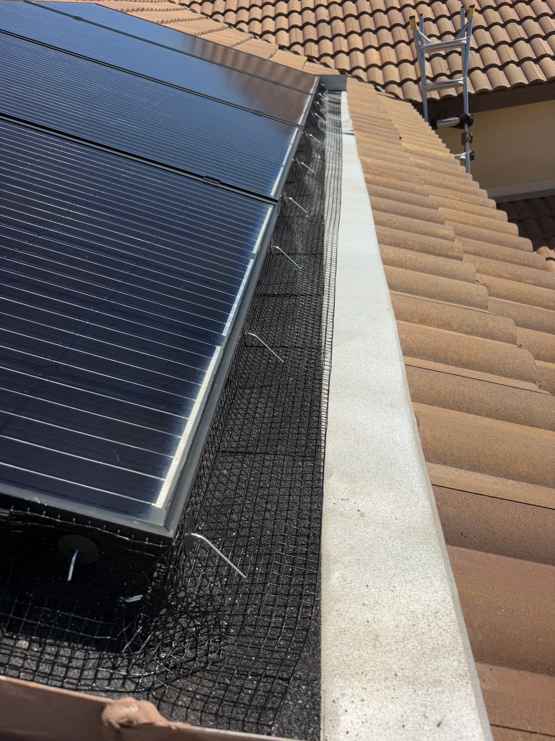 Gallery photos for Solar Panel Bird Proofing Done Right in Fontana: Image #3