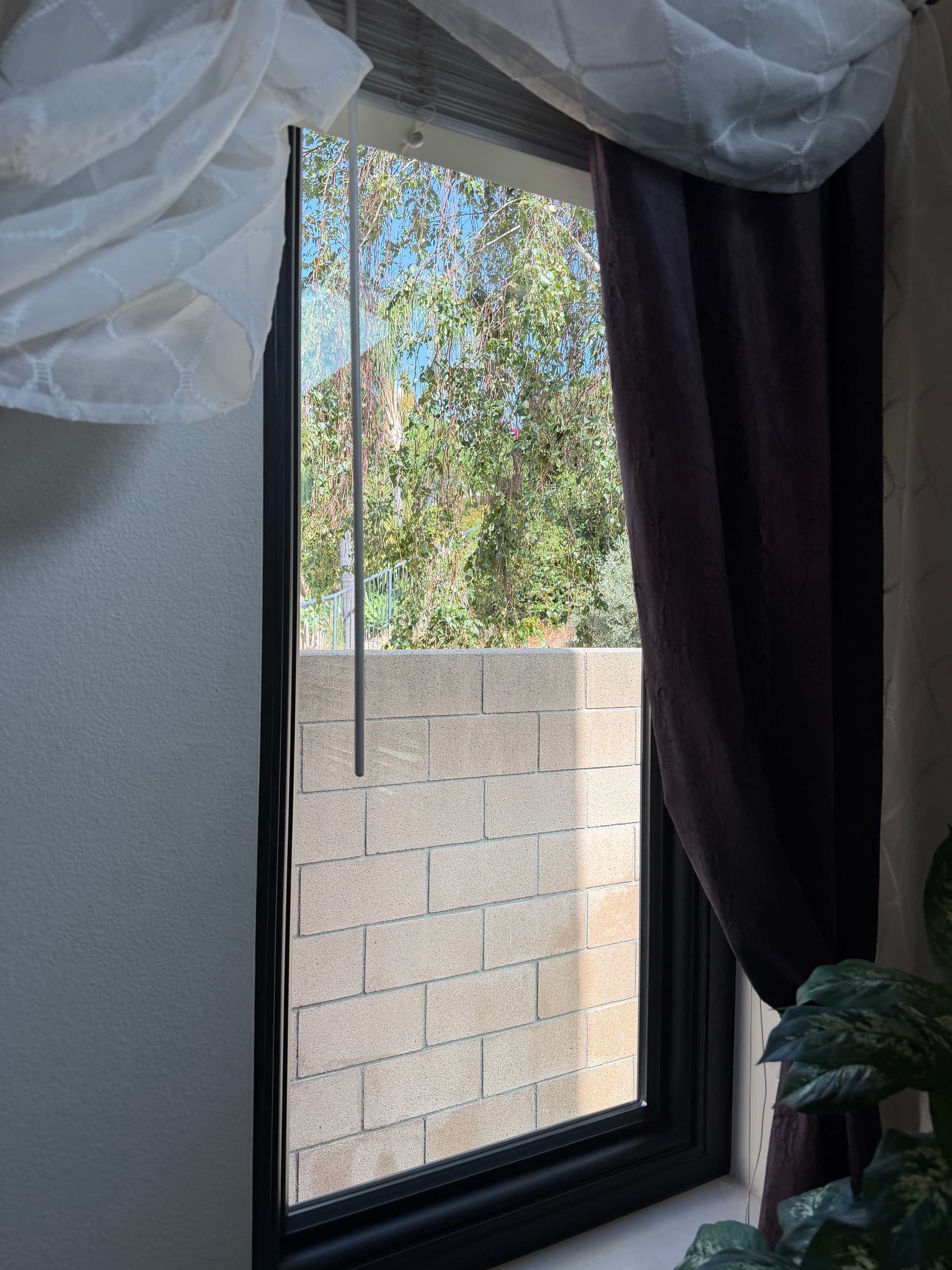 Gallery photos for Interior Window Cleaning and Track Detailing Done Right: Image #3