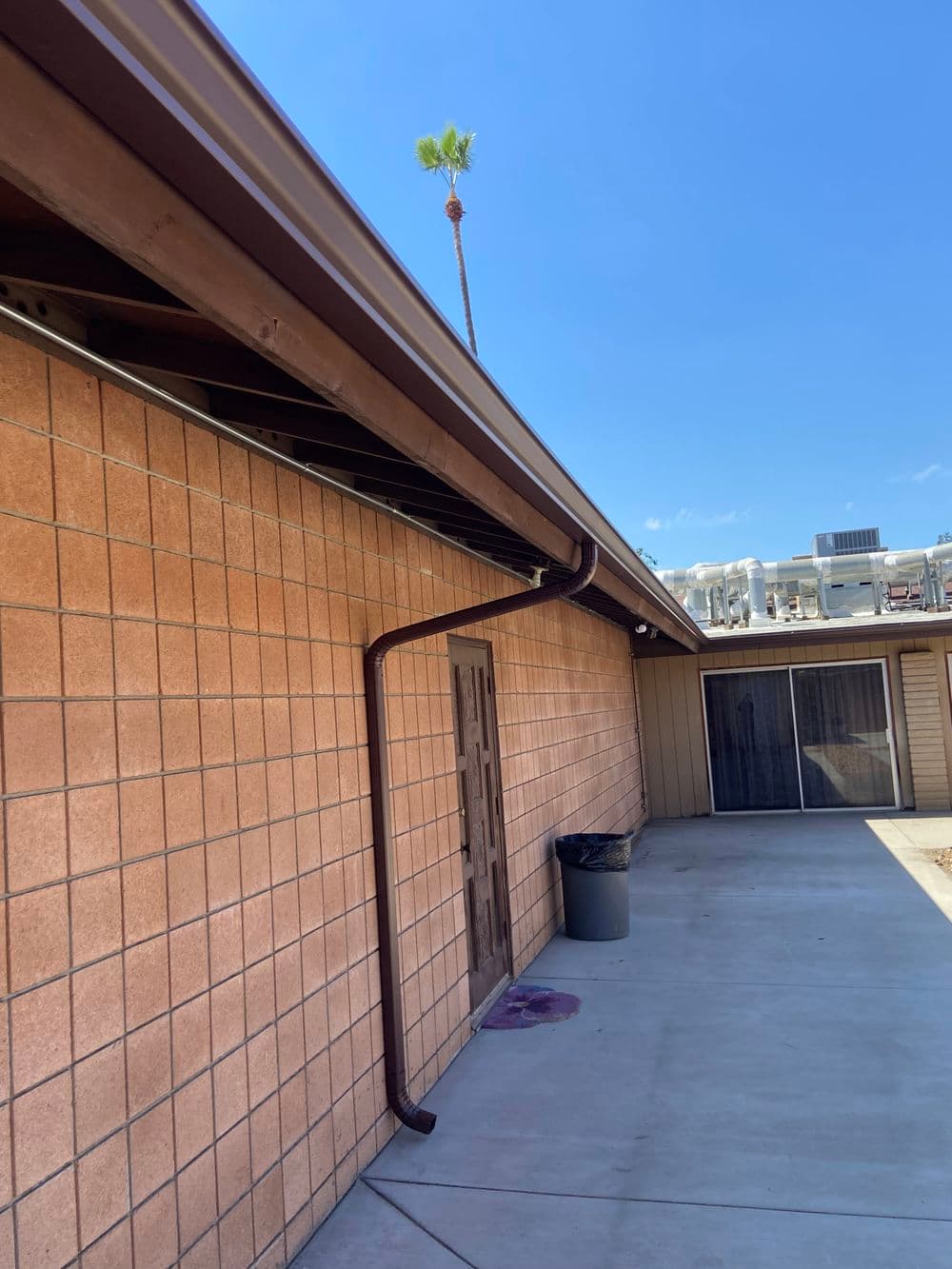 Brown downspout on a tan brick wall with a palm tree visible in the background under a clear blue sky.