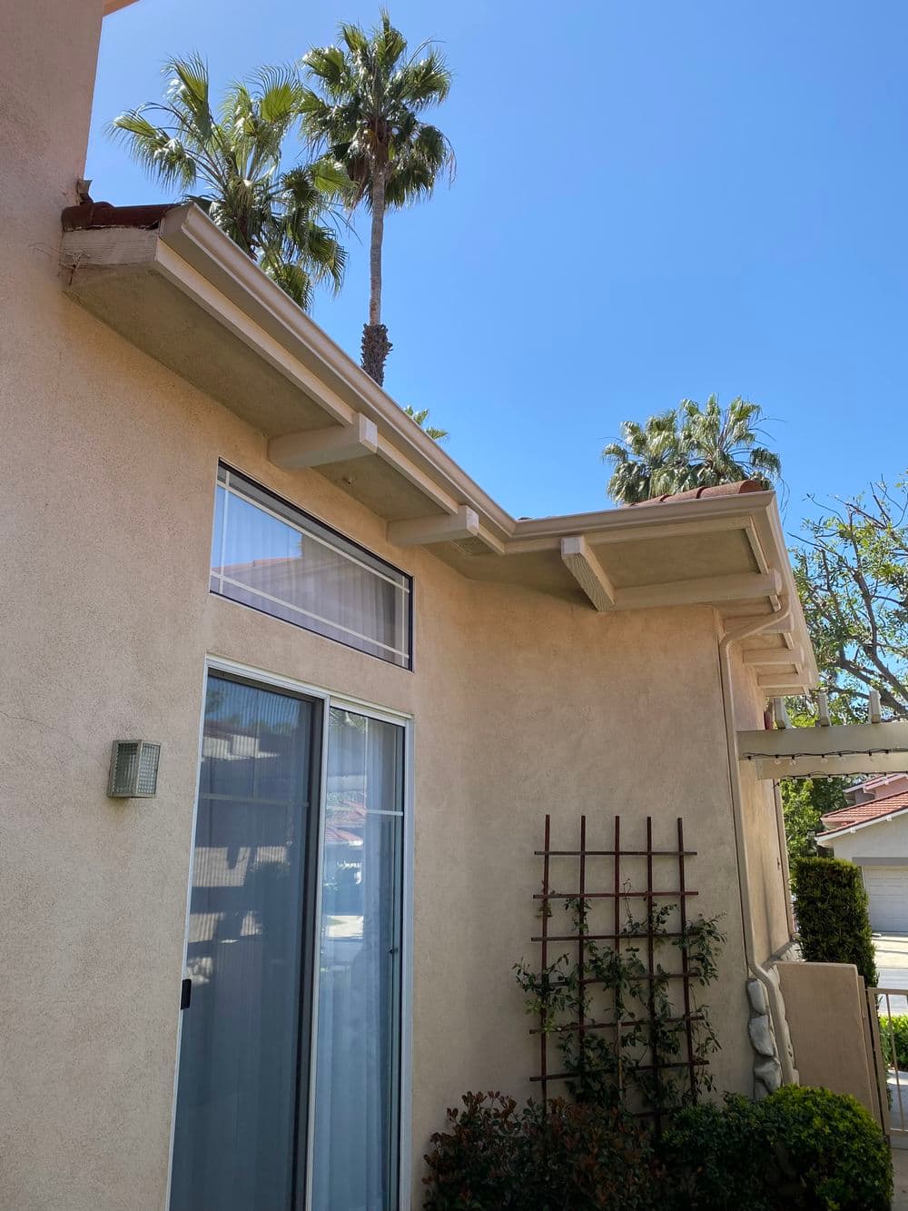 Modern house exterior with palm trees, bright blue sky, and lush greenery.