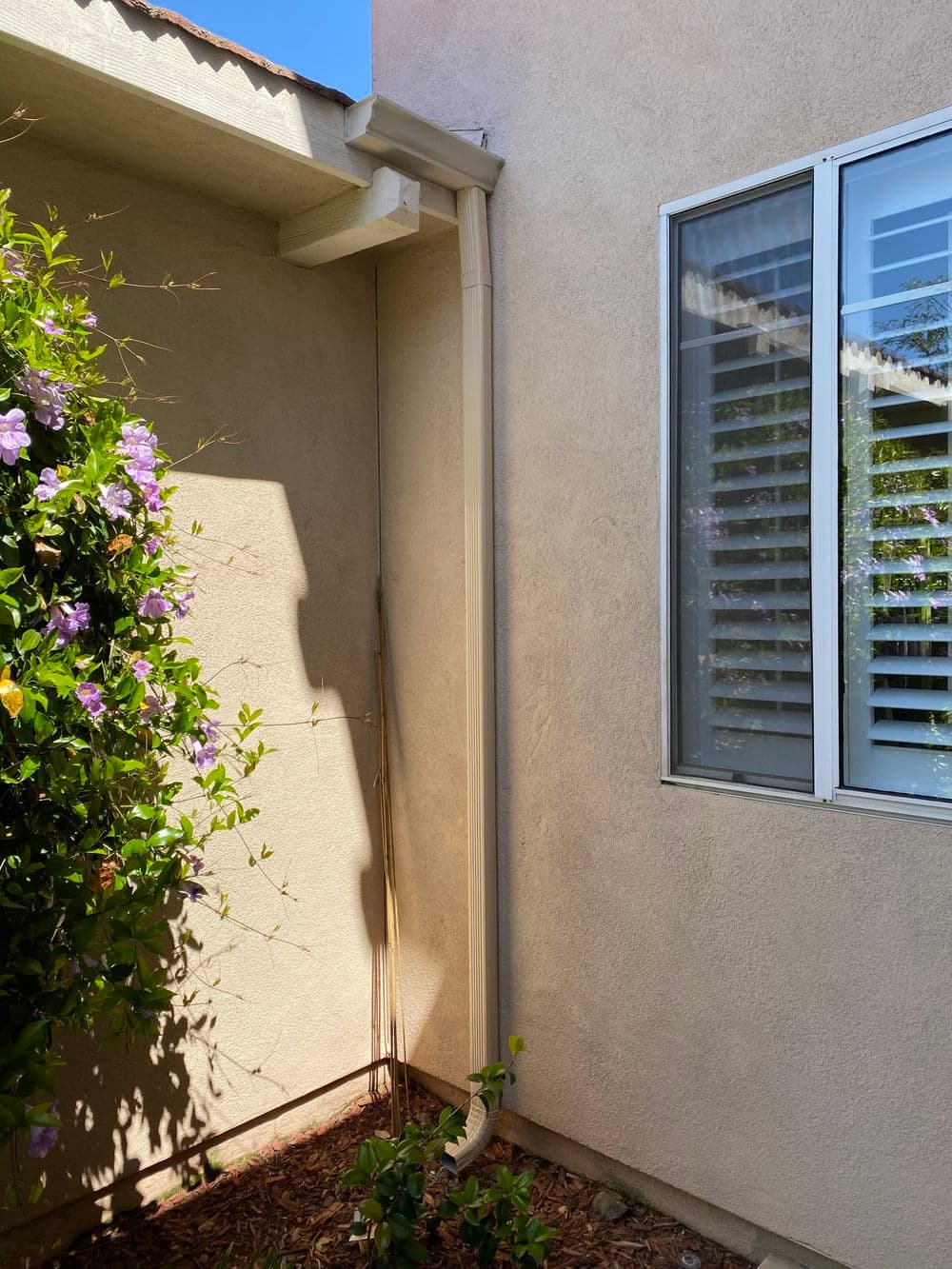 Rainwater downspout next to a house wall with blooming flowers and a window.