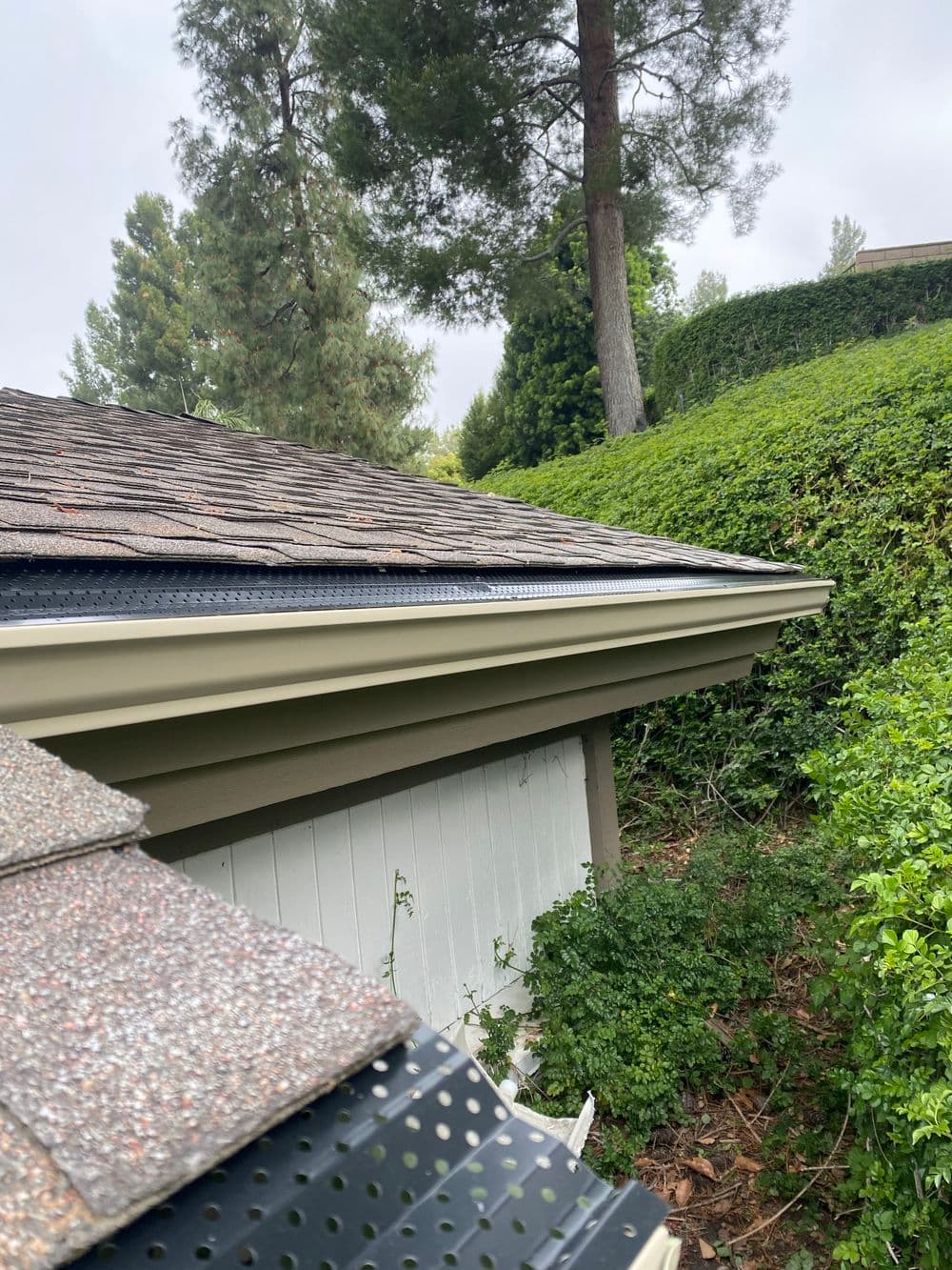Roof edge and gutters showcasing shingles and greenery in a residential setting.