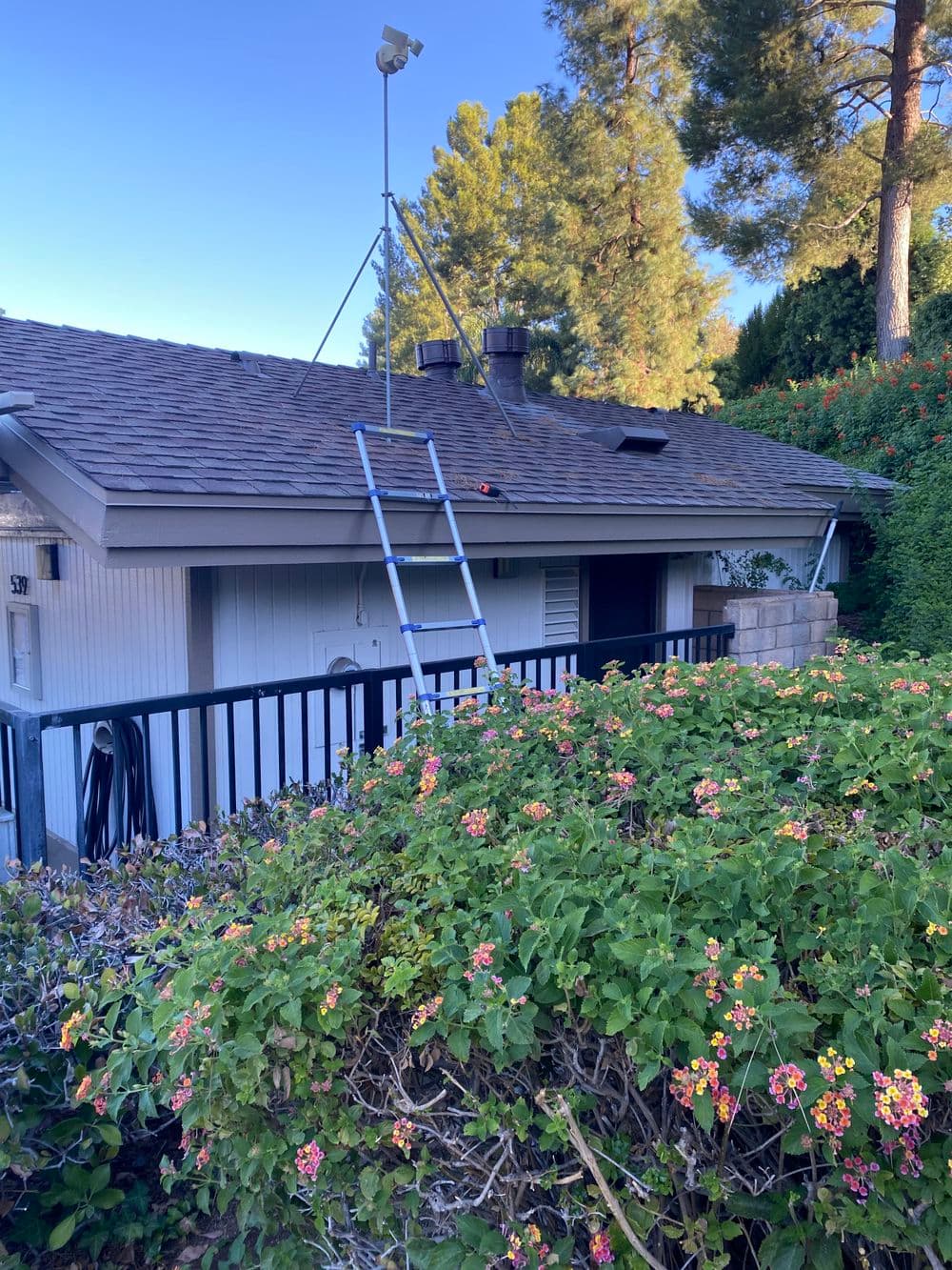 House roof with ladder, satellite dish, and surrounded by lush greenery and colorful flowers.