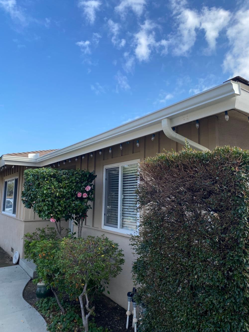 Single-story home with shrubs, decorative flowers, and festive lights under a clear blue sky.