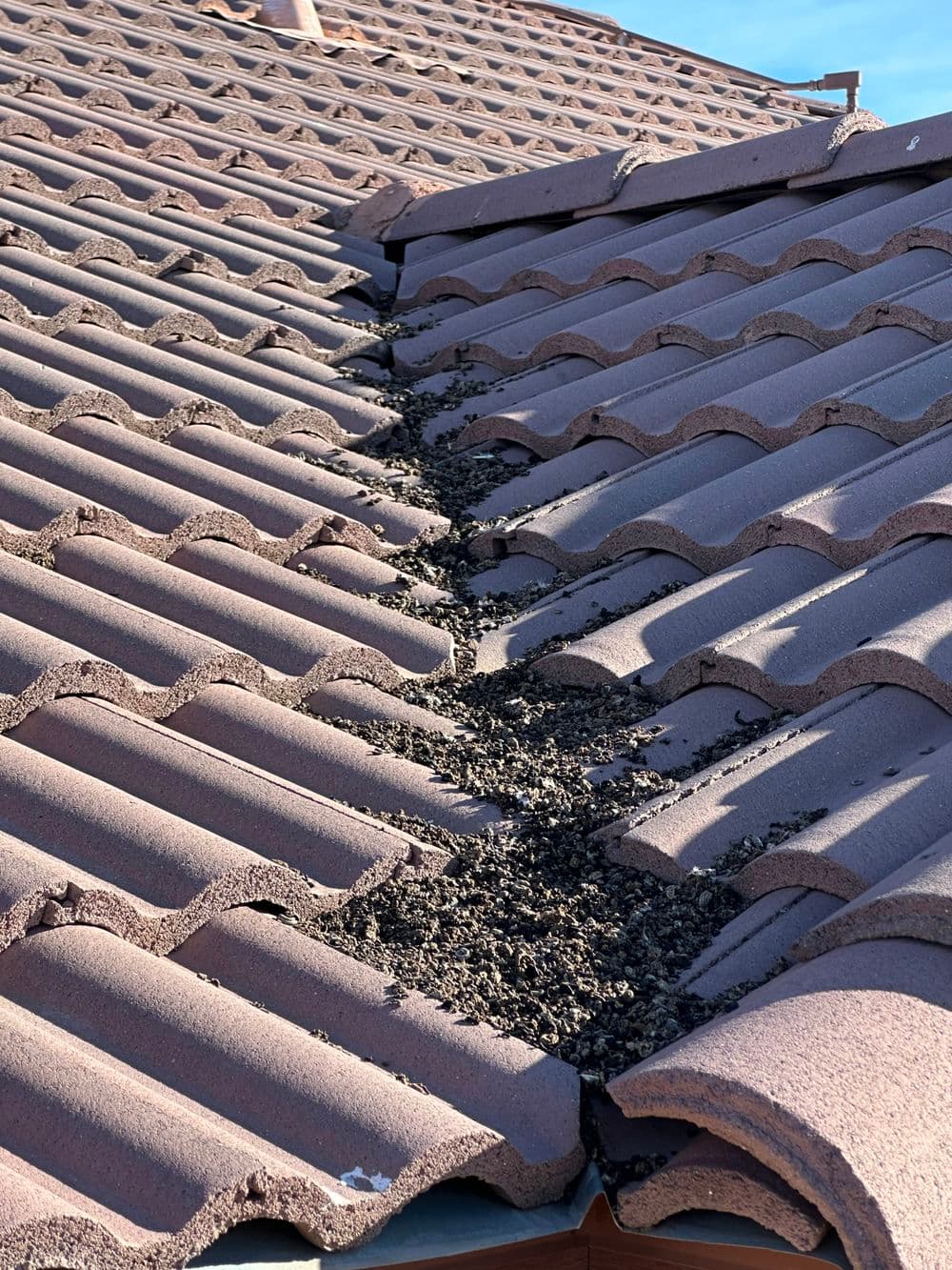 Damaged roof tiles with debris accumulation, indicating potential leaks and maintenance needs.